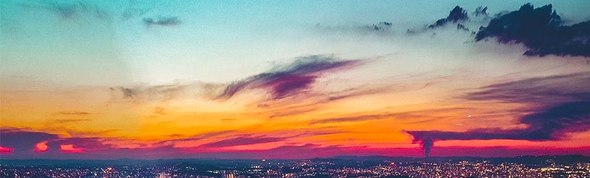 大庆茶虫网_大庆品茶